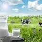 молоко сырое коровье с доставкой в Чебоксарах